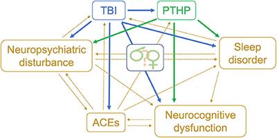 Evidence Limitations in Determining Sexually Dimorphic Outcomes in Pediatric Post-Traumatic Hypopituitarism and the Path Forward